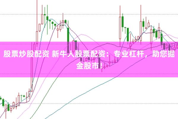 股票炒股配资 新牛人股票配资：专业杠杆，助您掘金股市！
