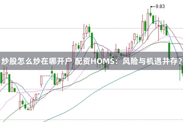 炒股怎么炒在哪开户 配资HOMS：风险与机遇并存？