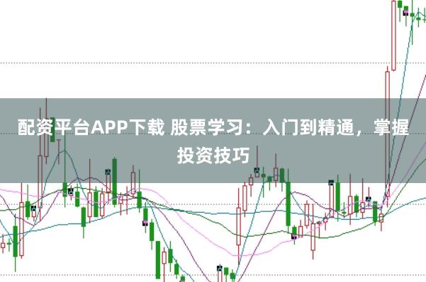配资平台APP下载 股票学习：入门到精通，掌握投资技巧