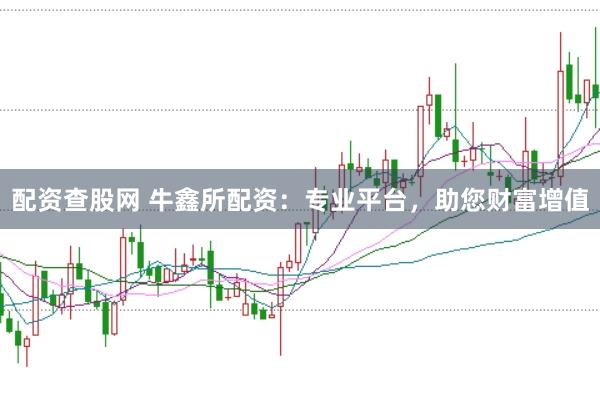 配资查股网 牛鑫所配资：专业平台，助您财富增值