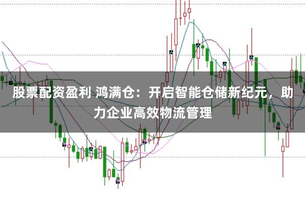 股票配资盈利 鸿满仓：开启智能仓储新纪元，助力企业高效物流管理