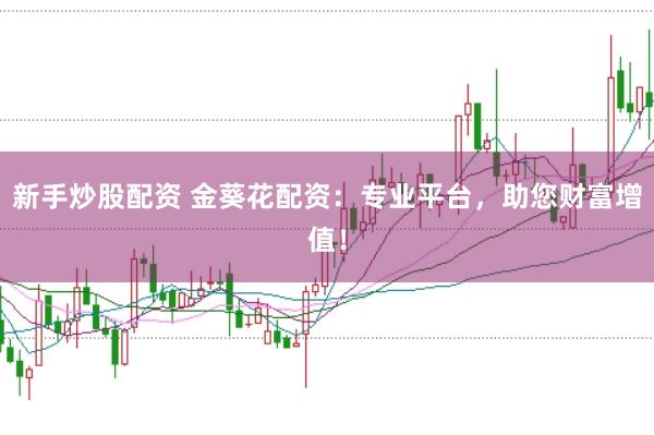 新手炒股配资 金葵花配资：专业平台，助您财富增值！
