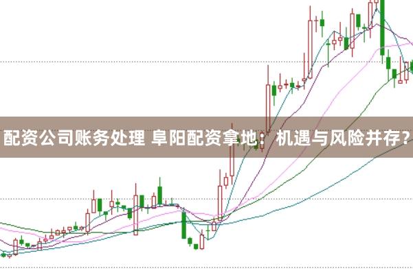 配资公司账务处理 阜阳配资拿地：机遇与风险并存？