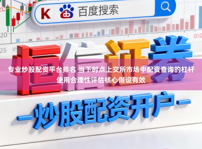 专业炒股配资平台排名 当下时点上交所市场中配资查询的杠杆使用合理性评估核心假设有效