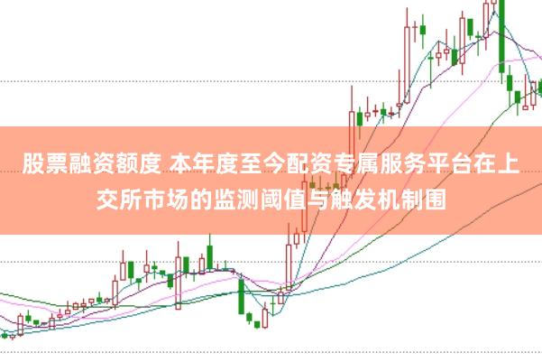 股票融资额度 本年度至今配资专属服务平台在上交所市场的监测阈值与触发机制围