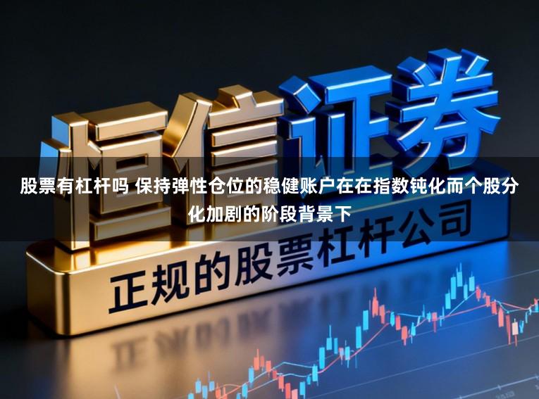 股票有杠杆吗 保持弹性仓位的稳健账户在在指数钝化而个股分化加剧的阶段背景下